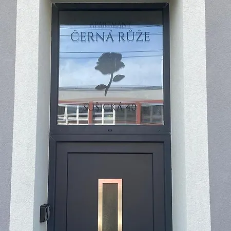 Cerna Ruze - Apartman 4 Plzeň Esterno foto