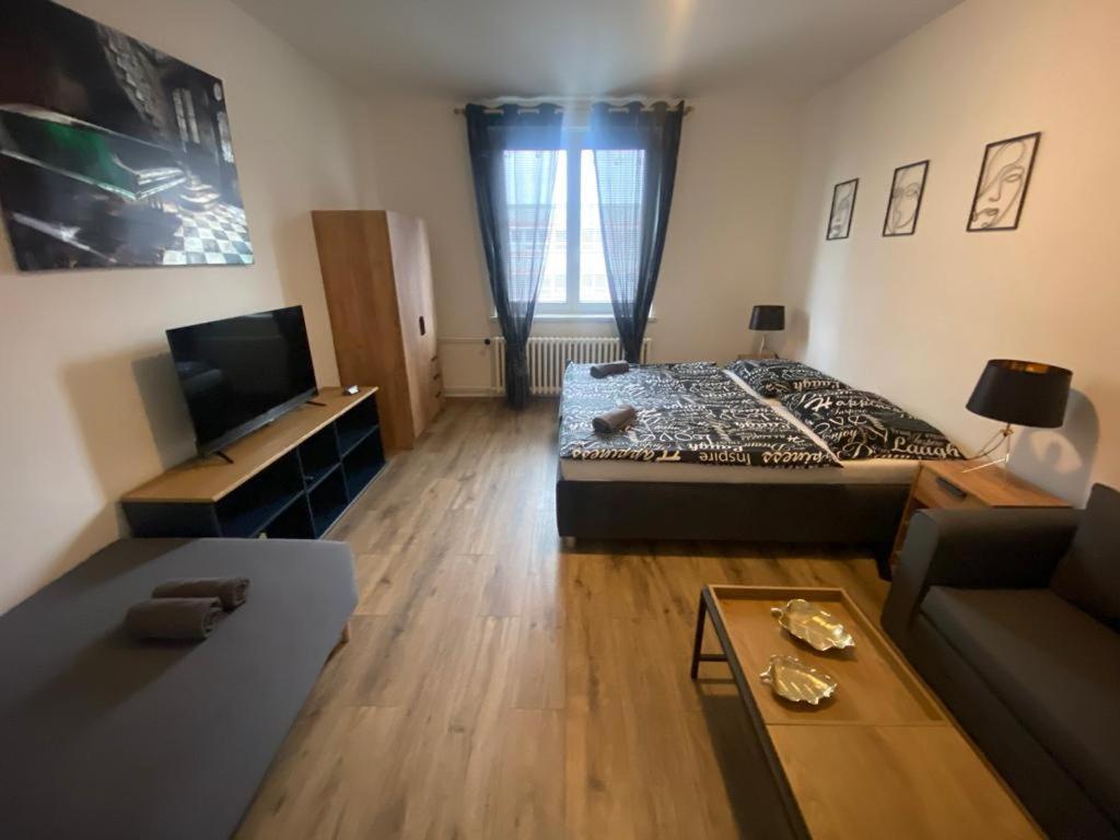 Cerna Ruze - 4 Plzeň