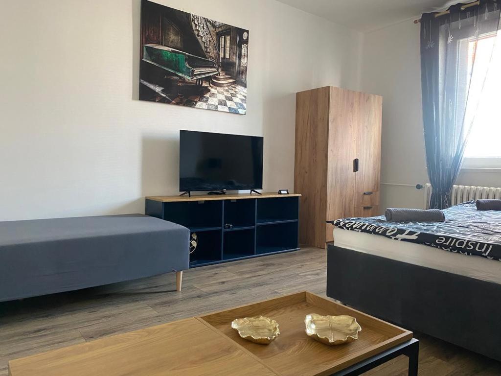 Apartment Cerna Ruze - 4