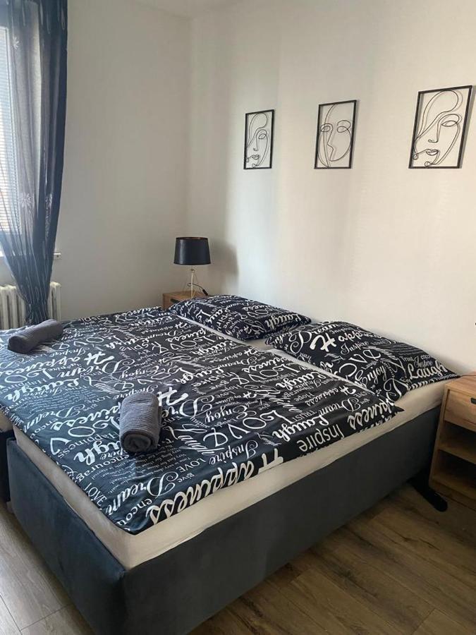 Apartment Cerna Ruze - 4