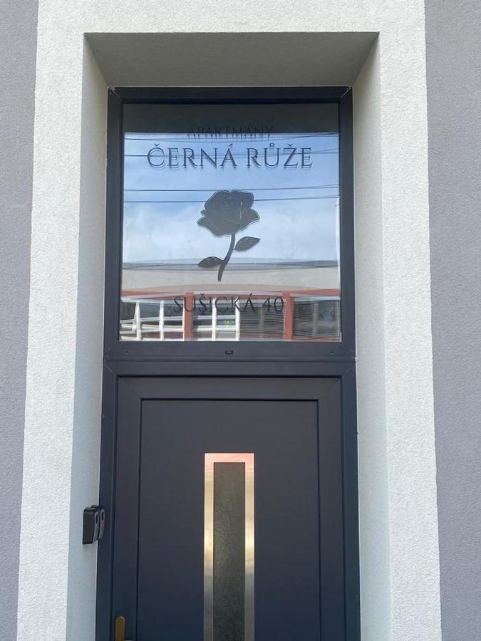 Apartment Cerna Ruze - 4 *
